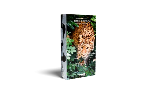 Inside Up Games Earth Animal Kingdom extension animaux