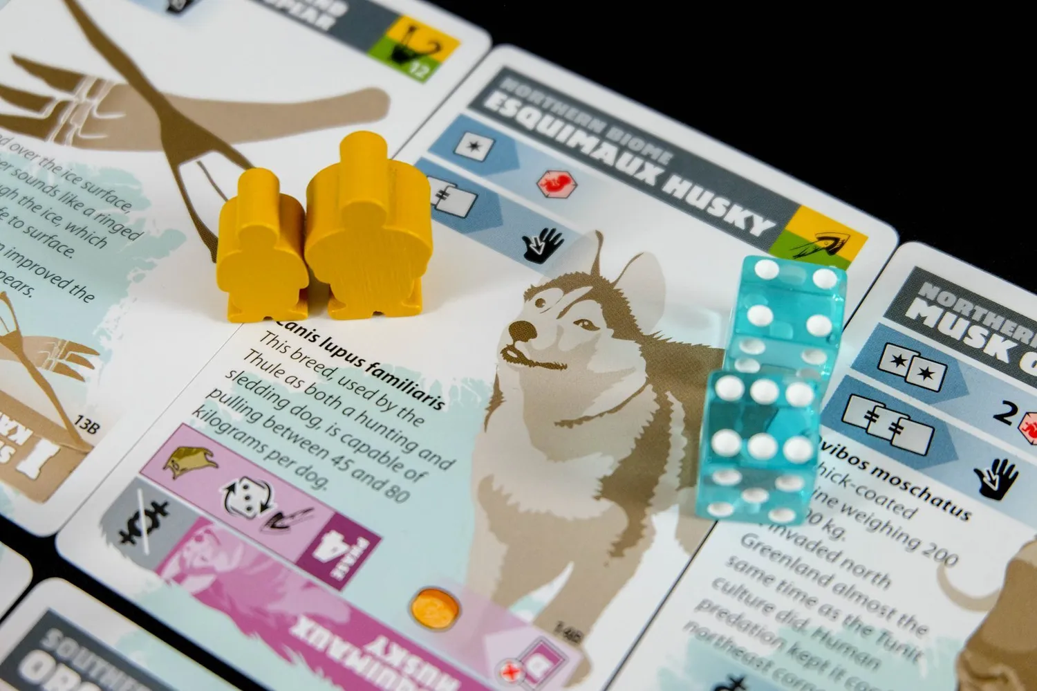 ION Game Design Greenland 3e édition jeu de société survie