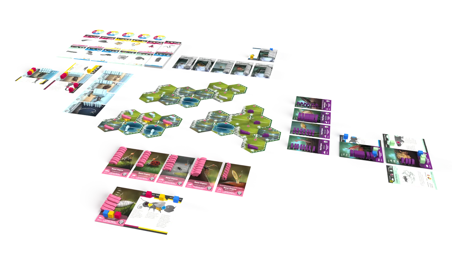 ION Bios Mesofauna jeu de société évolution
