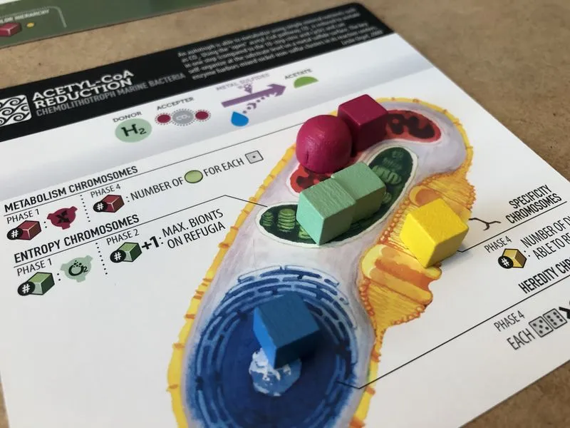 ION Bios Genesis 2e édition jeu de société science