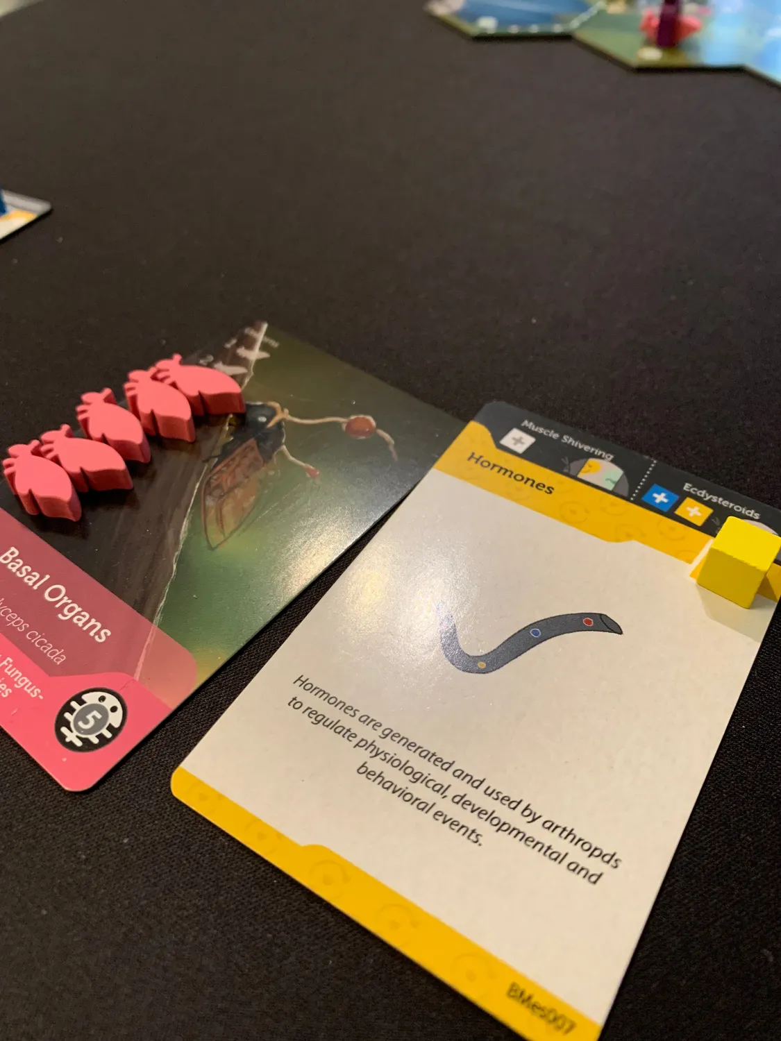 ION Bios Mesofauna jeu de société évolution