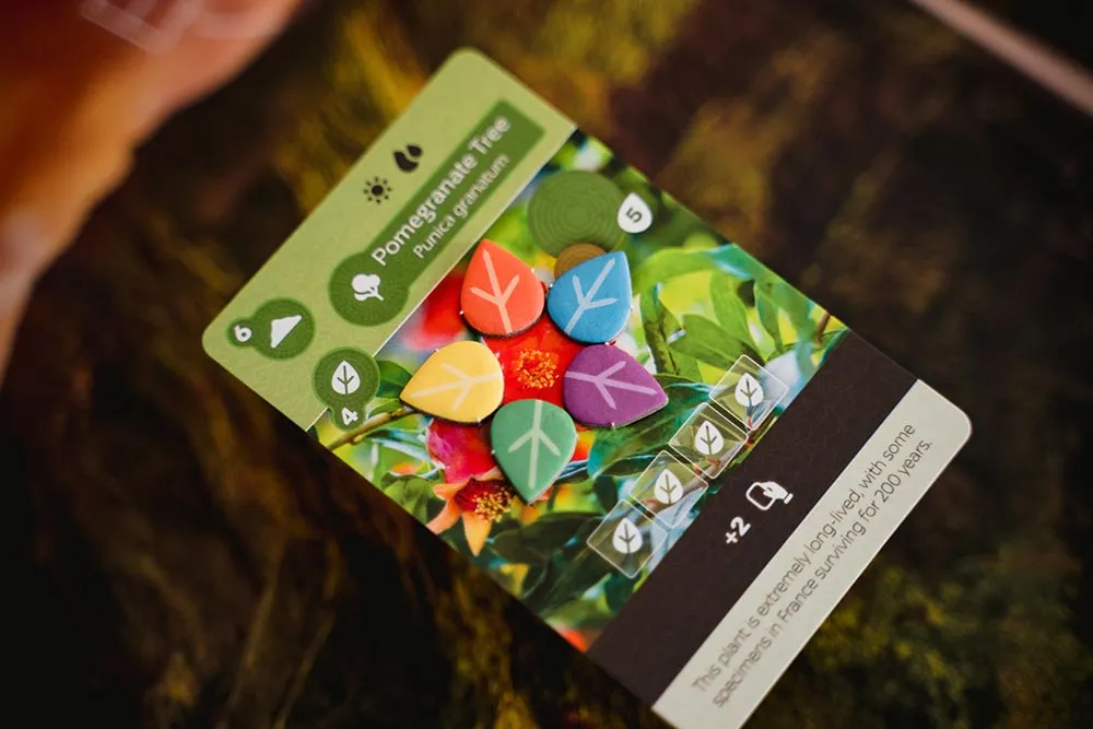 Inside Up Games Earth jeu de société base stratégie