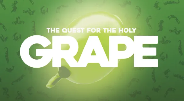 ION Game Design P3 Grape jeu de société puzzle malin