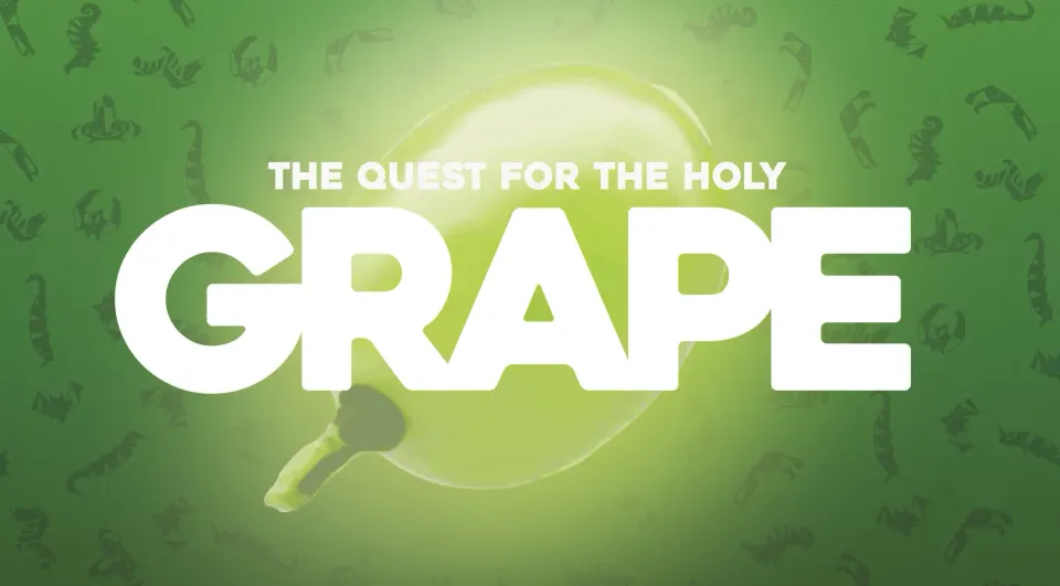 ION Game Design P3 Grape jeu de société puzzle malin