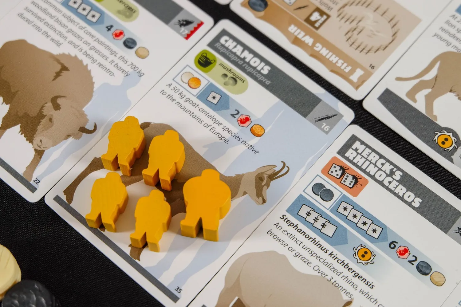 ION Game Design Neanderthal 2e édition jeu société préhistoire