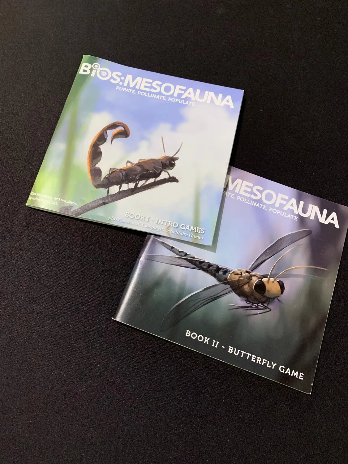 ION Game Design Bios Mesofauna jeu de sociétévolution sans dés