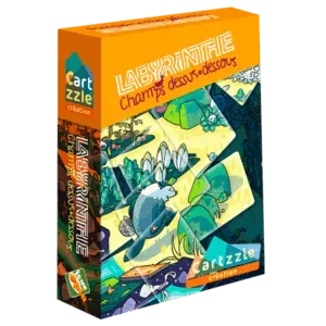 Flip Flap Cartzzle Labyrinthe jeu de cartes puzzle
